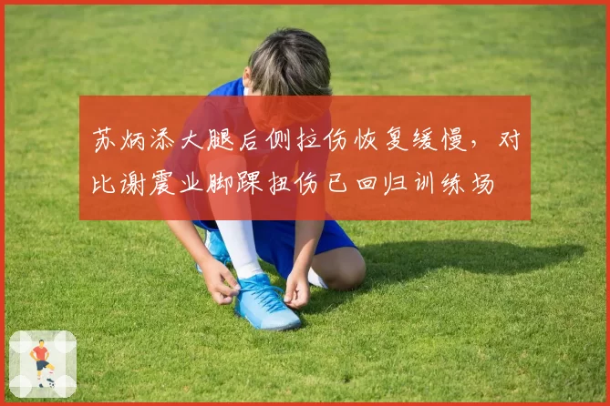 苏炳添大腿后侧拉伤恢复缓慢，对比谢震业脚踝扭伤已回归训练场
