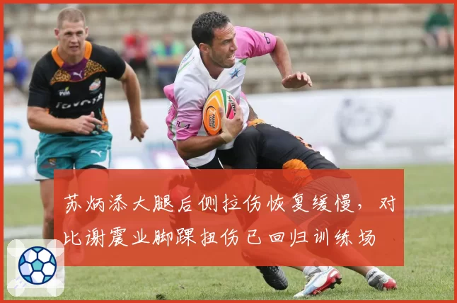 苏炳添大腿后侧拉伤恢复缓慢，对比谢震业脚踝扭伤已回归训练场
